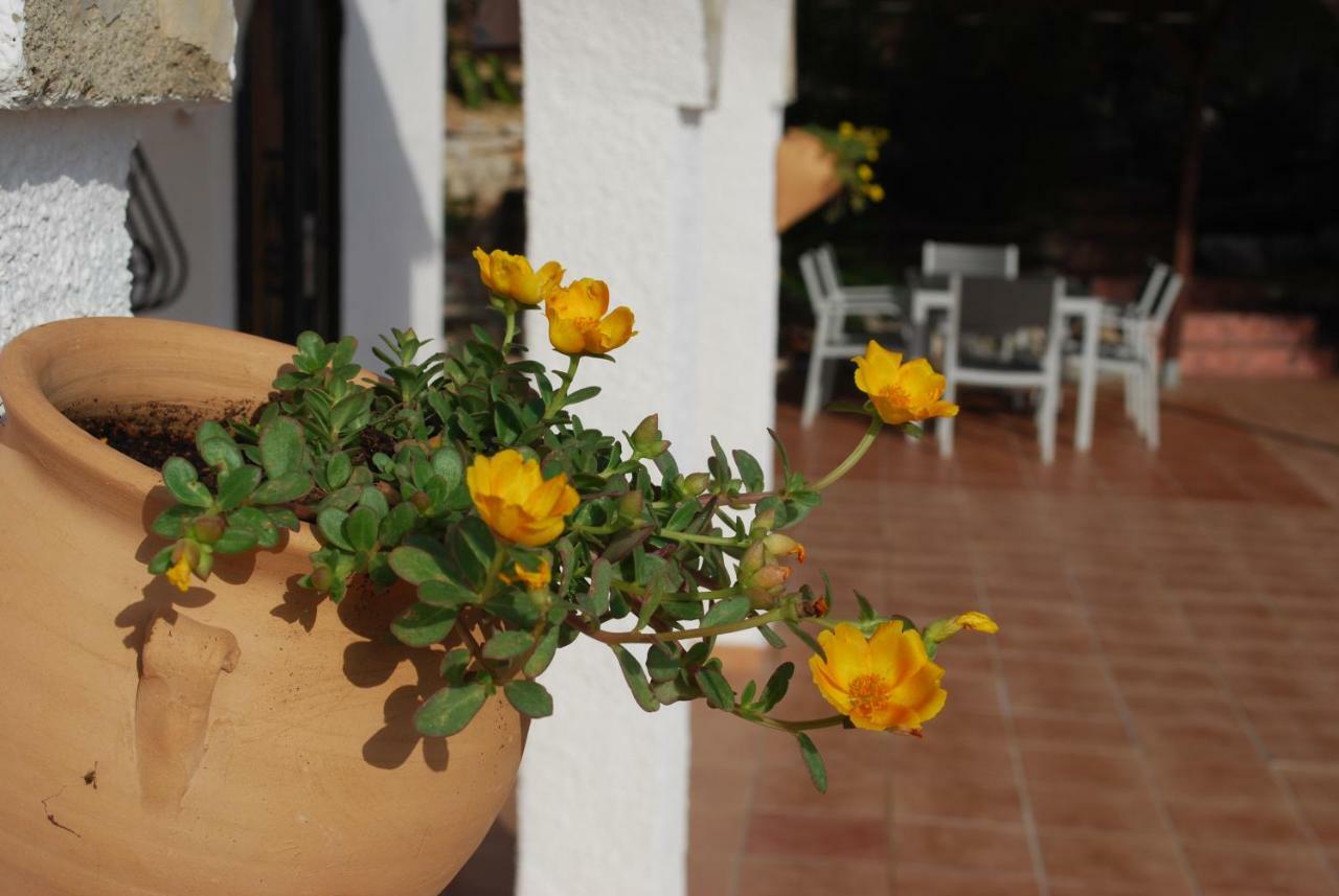 Villa Bello Horizonte Pedreguer Εξωτερικό φωτογραφία